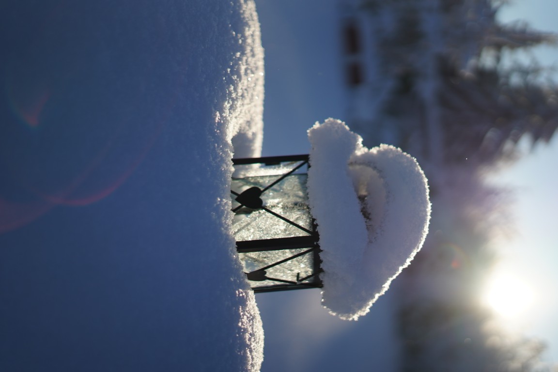 Winter